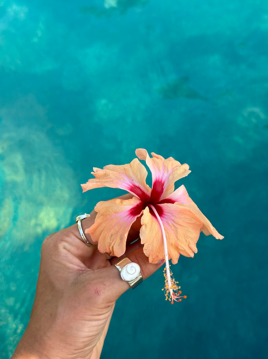 Nevaeh Ring - Shiva (Handmade)